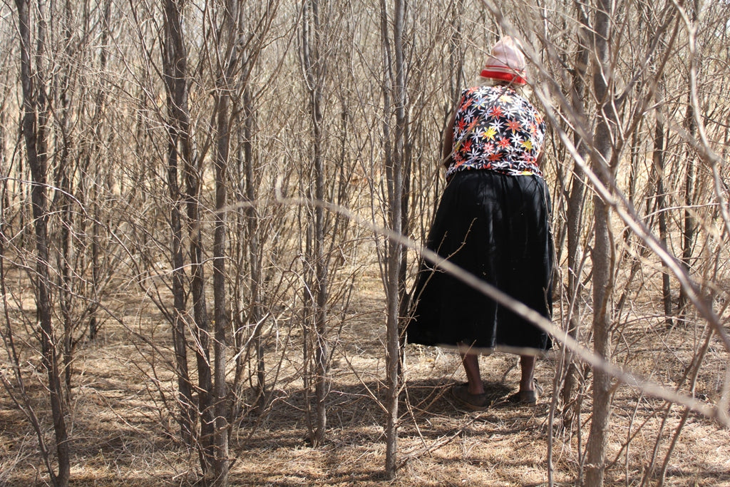 Photography Prize entry