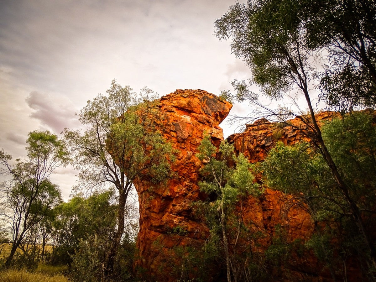 Ngurra 2 - on country by Jeffrey Jackson