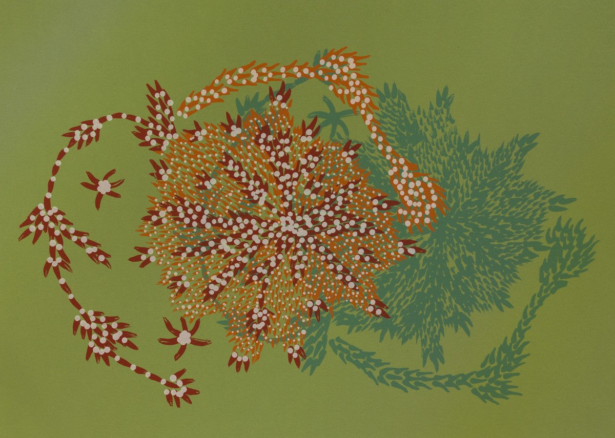 Bushflowers and seeds by Susie Lane