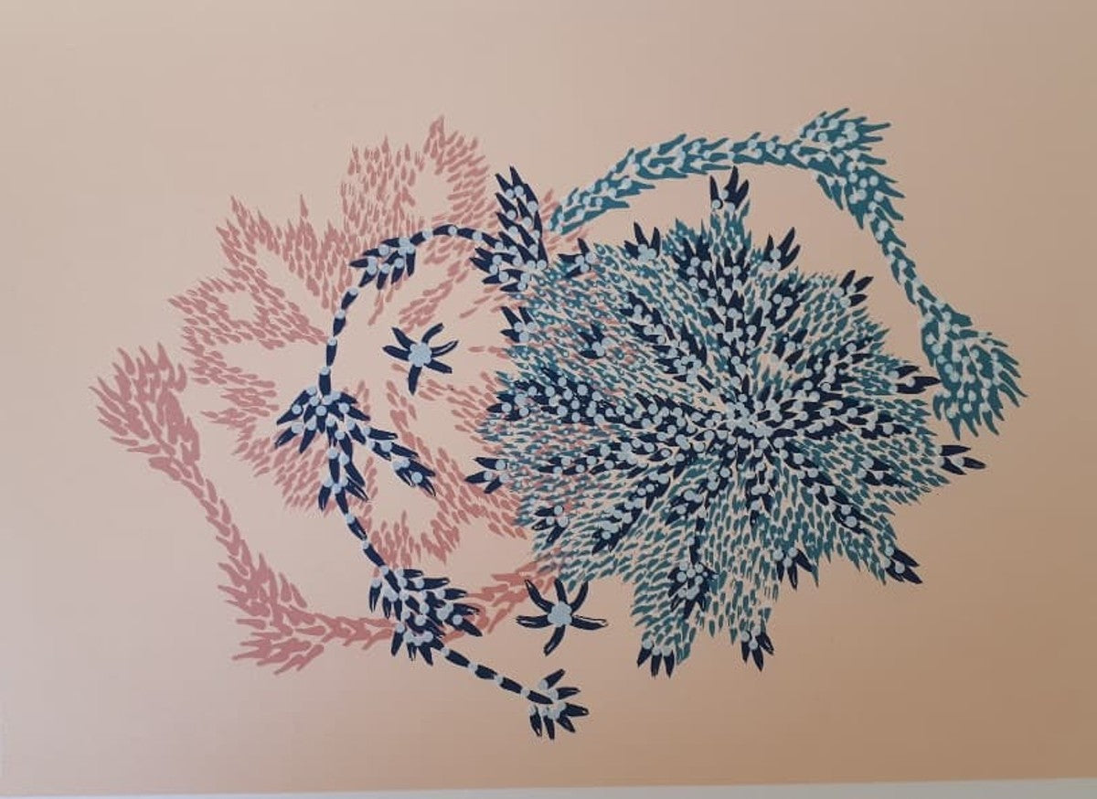 Bushflowers and seeds by Susie Lane