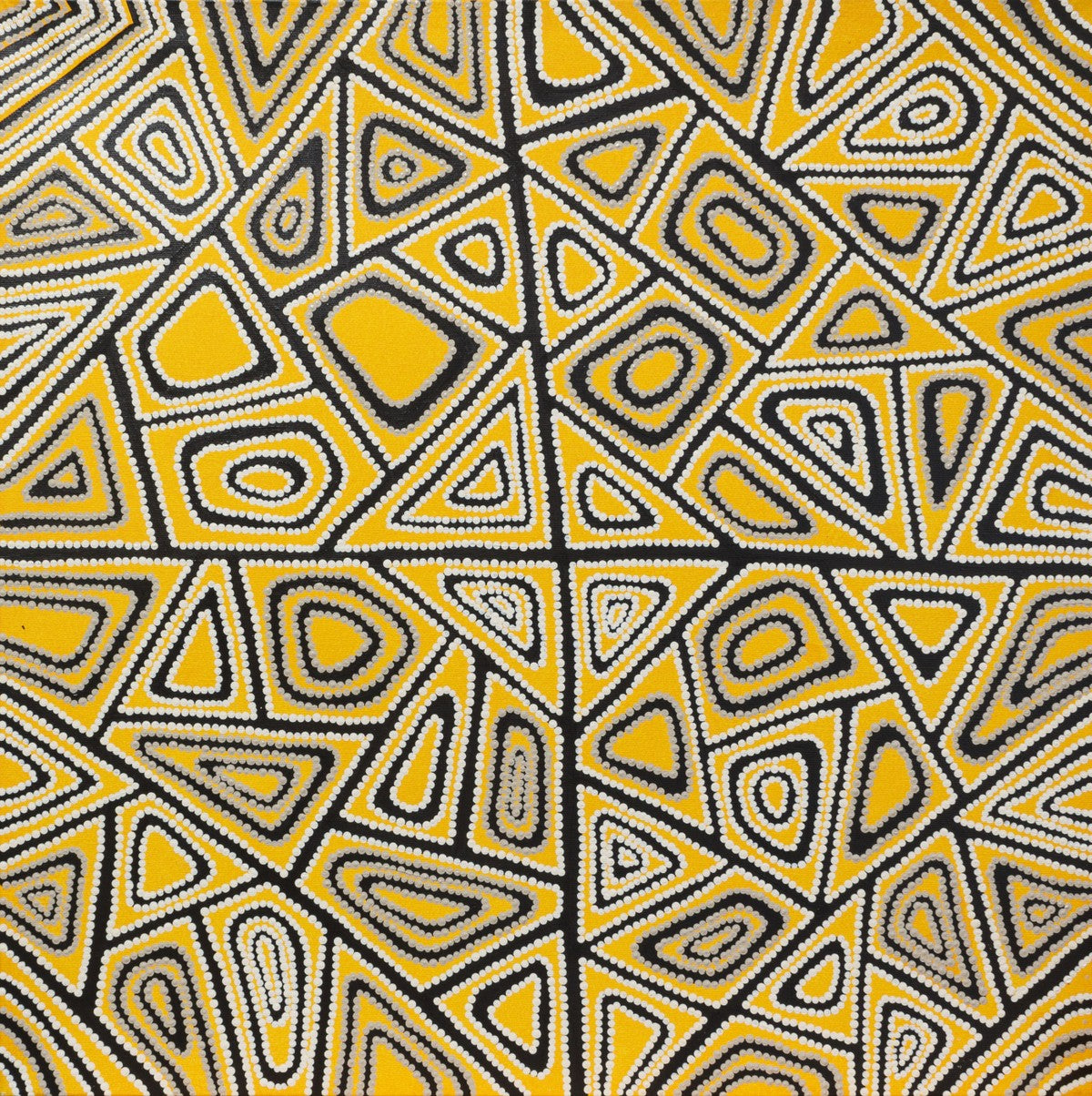 Pikilyi (Vaughn Springs) by Erin Butcher