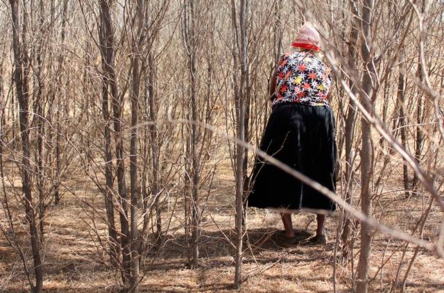 My Grandmother Went Hunting