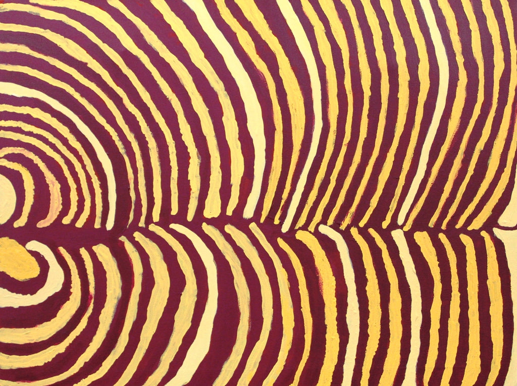 Alice Nampitjinpa Tali Tali