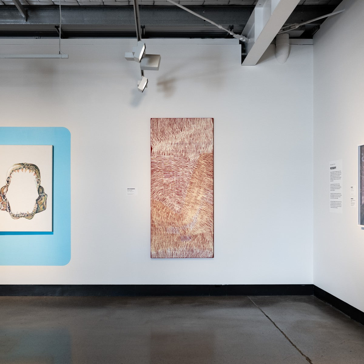 Pine Rivers Art Gallery: Art Collection Up Close - Ikuntji Artists ...
