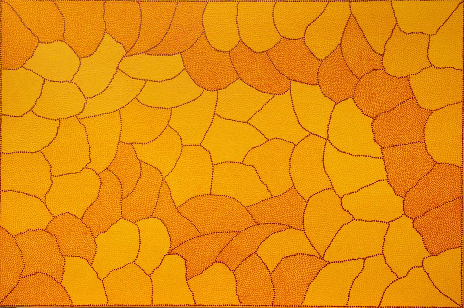 Joyce_Dixon_Claypan_at_Karrinyarra_Acrylic_on_belgian_linen_80x120cm.jpeg