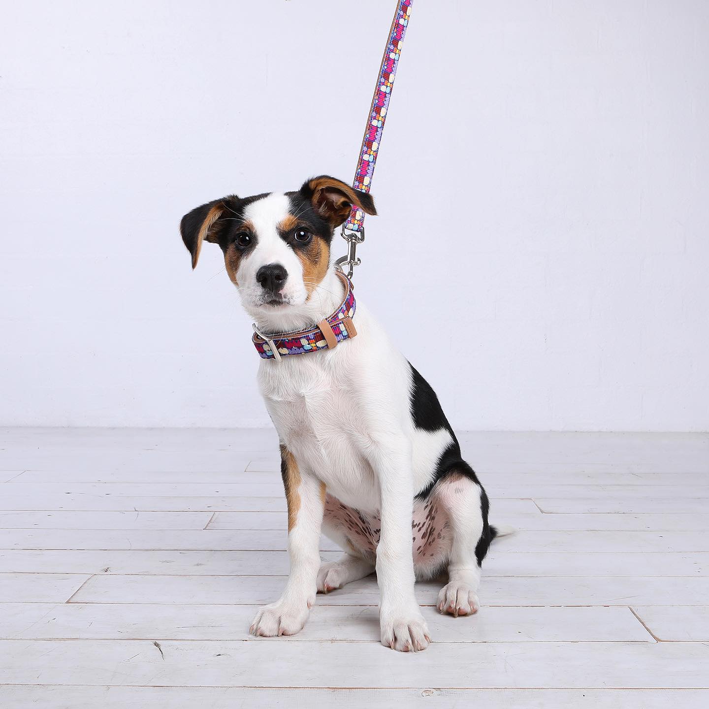 242152077_950691392190229_9087237353509452294_n