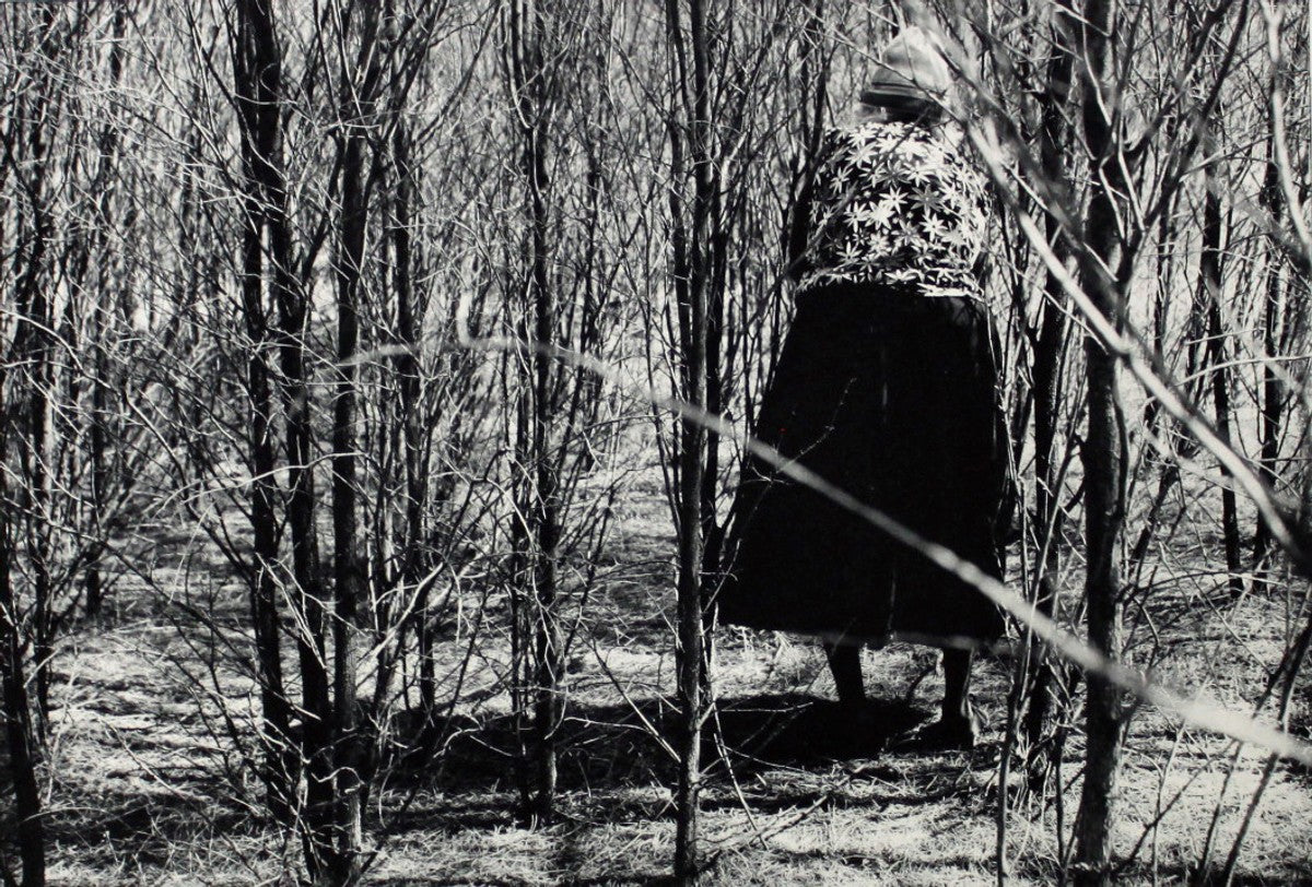 Napanangkalu watiya nyanganyi kuntanytjaku / Eunice is looking for wood for cutting by Christine Multa