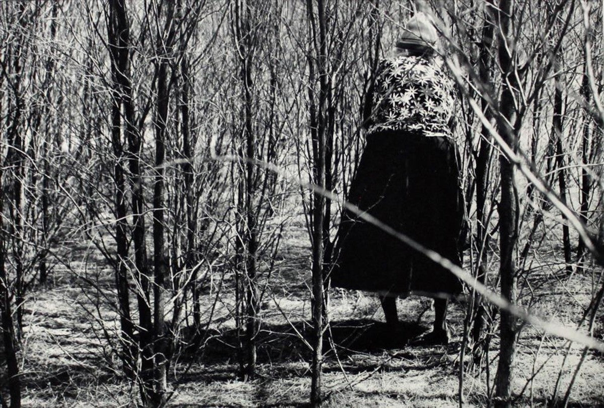 Napanangkalu watiya nyanganyi kuntanytjaku / Eunice is looking for wood for cutting by Christine Multa