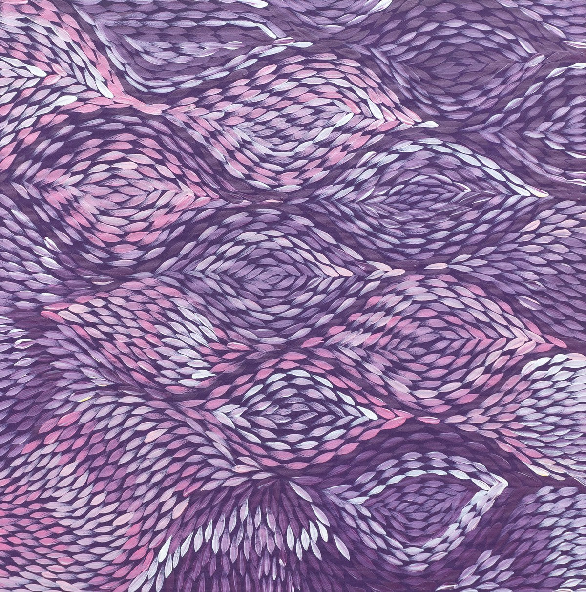 Yalka at Karrkurutinytja (Bush onion Dreaming at Lake Macdonald) by Daphne Marks