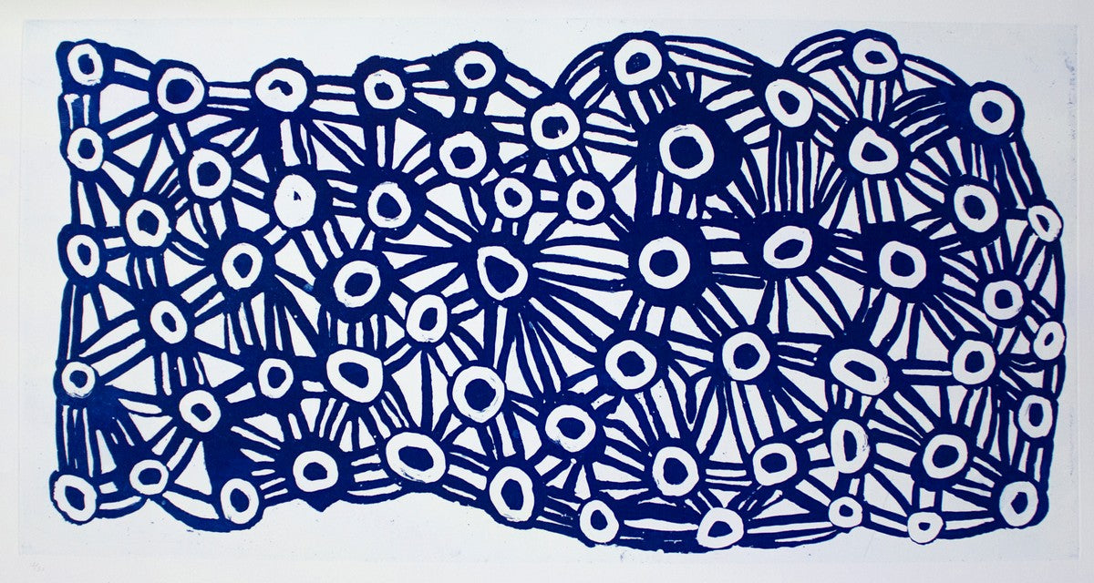 Tjilkamala - Porcupine rockhole by Alice Nampitjinpa Dixon