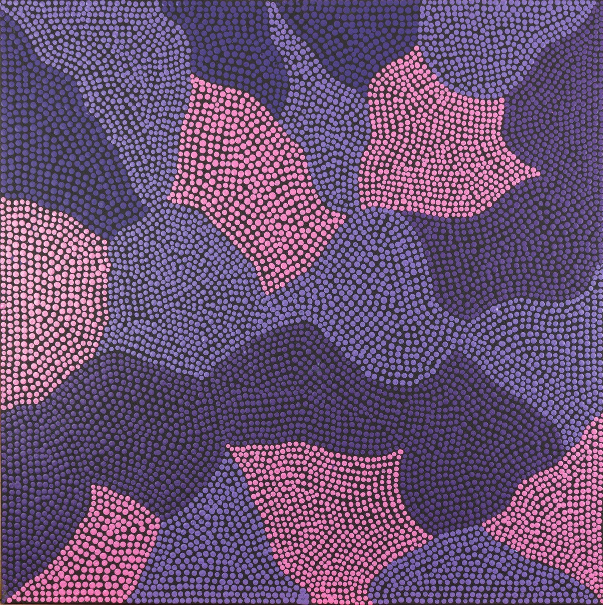 Claypan at Karrinyarra by Joyce Dixon