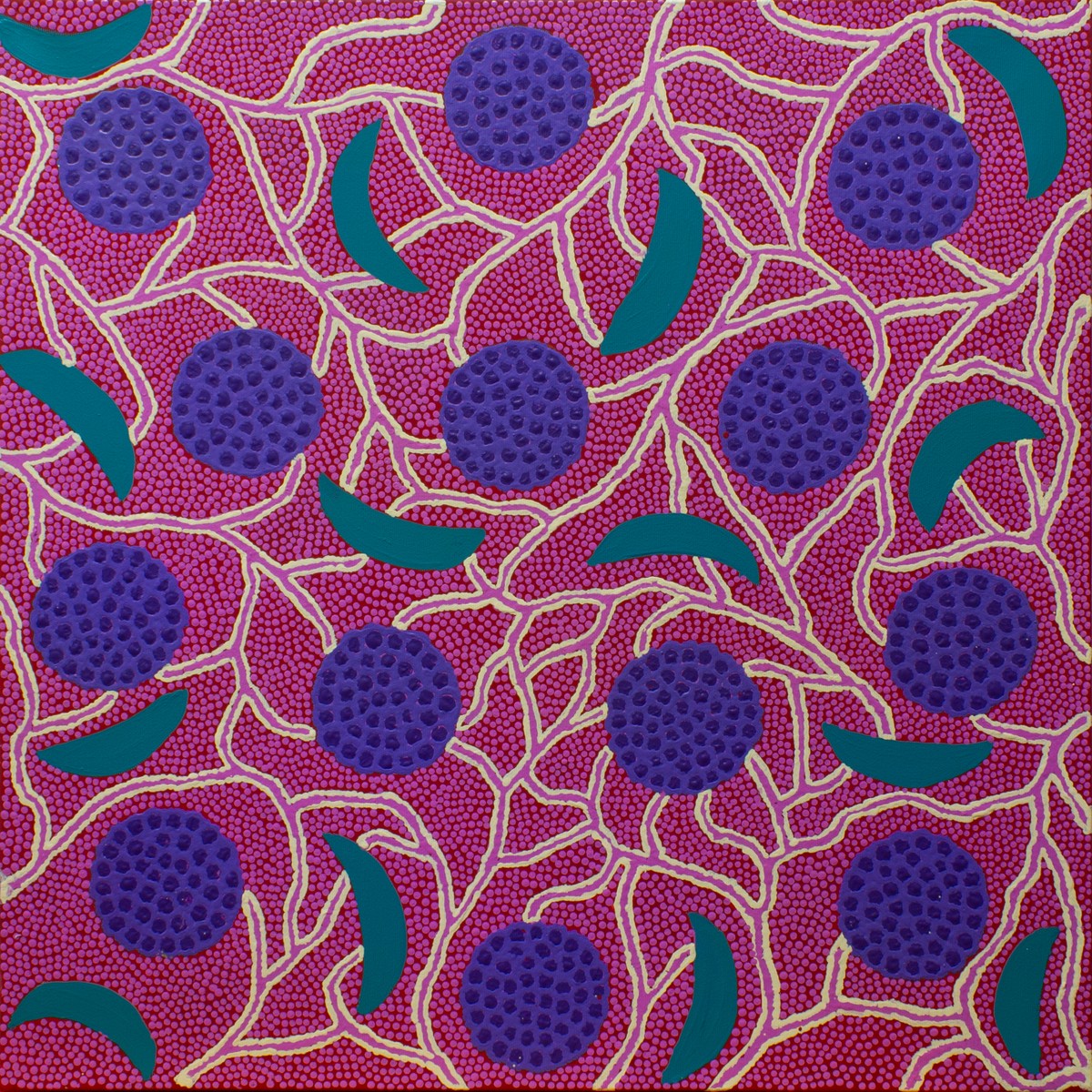 Wanpanpi - Bush Coconut by Joyce Dixon