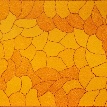Claypan at Karrinyarra by Joyce Dixon